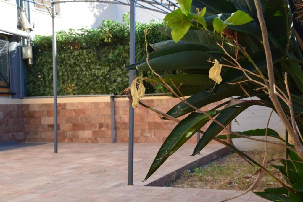 Casa Di Aida Διαμέρισμα Μεσίνα Εξωτερικό φωτογραφία